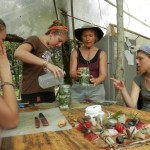 Community Food Preservation