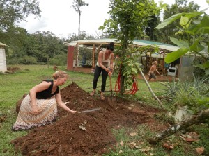 Susannah and Jess build a lasagna-style garden bed 
