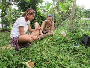 Preparing garden vegetables for dinner